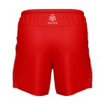 Sports Shorts - Image 2